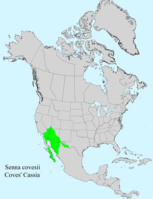 North America species range map for Coves' Cassia, Senna covesii: